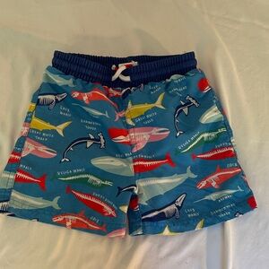 Mini Boden Colorful Shark Print Kids Shorts